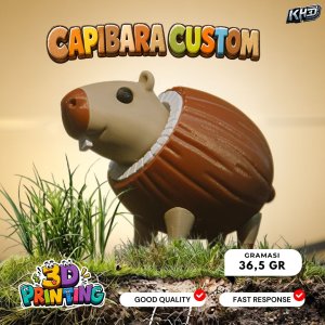 Capibara Custom