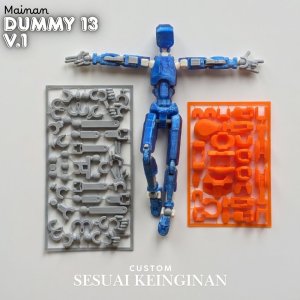 Dummy 13 V.1