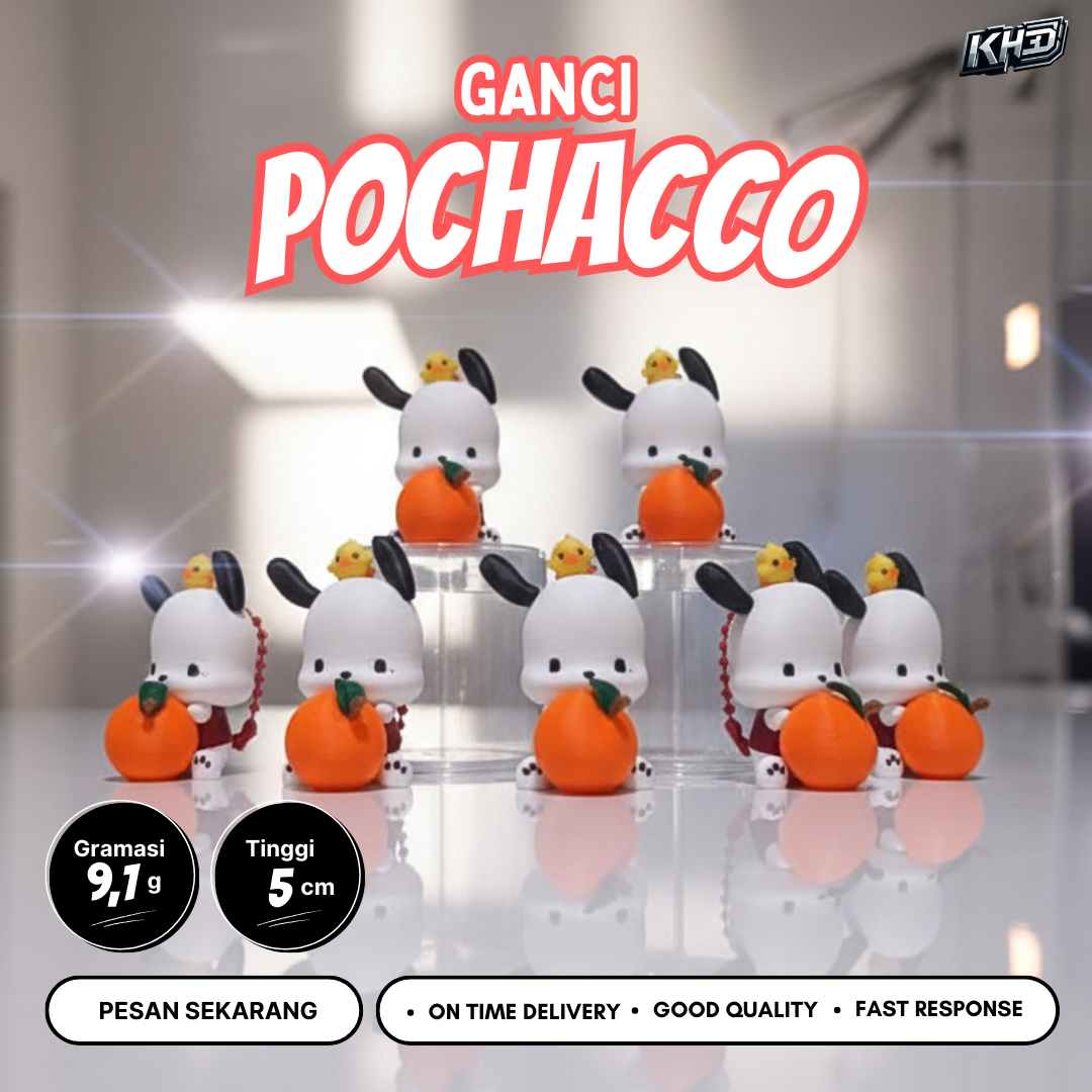1770688252_ganci-pochacco.mp4